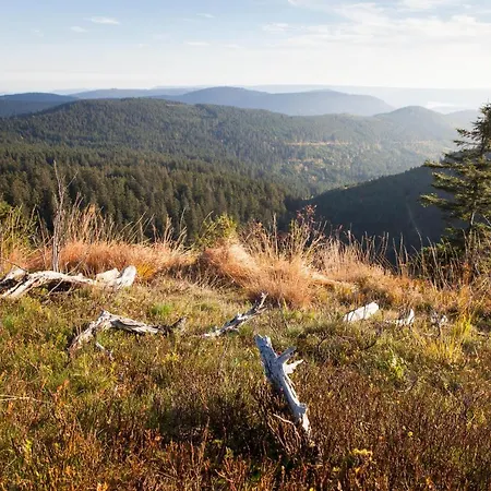 The Himmelsteig Sasbachwalden